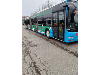 MAN Lion's City A23 Gelenkbus
