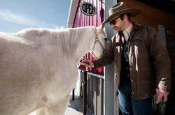 Pferdetransporter Führerschein