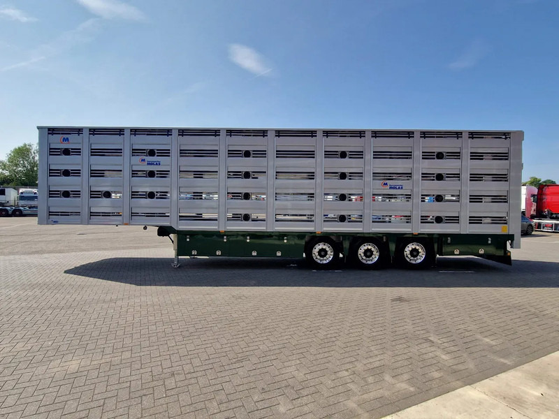 Onbekend Molas 5 deck Livestock trailer - Water & Ventilation - Loadlift - NEW! - - Tiertransporter Auflieger: das Bild 5 Onbekend Molas 5 deck Livestock trailer - Water & Ventilation - Loadlift - NEW! - - Tiertransporter Auflieger: das Bild 5