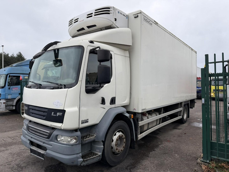 DAF LF 55.300 - 19T FRIGO THERMOKING TS-300e - TAILLIFT - BOX 6m45 x 2m49 x 2m49 - EURO 5 - A/C - BE TRUCK - Kühlkoffer LKW: das Bild 3 DAF LF 55.300 - 19T FRIGO THERMOKING TS-300e - TAILLIFT - BOX 6m45 x 2m49 x 2m49 - EURO 5 - A/C - BE TRUCK - Kühlkoffer LKW: das Bild 3