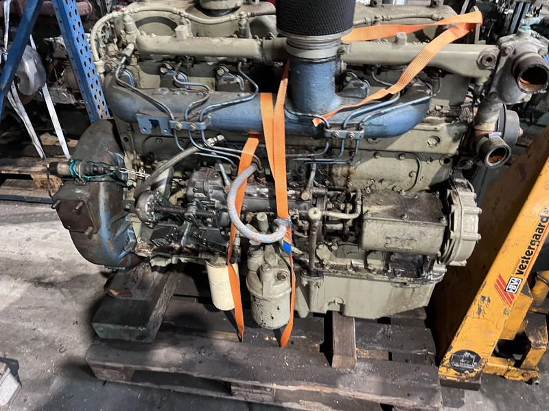 DAF DH 825 daf - MEERDERE OP VOORRAAD - Motor für LKW: das Bild 5 DAF DH 825 daf - MEERDERE OP VOORRAAD - Motor für LKW: das Bild 5