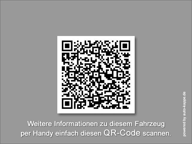 Volkswagen T6.1 Pritsche LR Doka 6-Sitze KLIMA - Leasing Volkswagen T6.1 Pritsche LR Doka 6-Sitze KLIMA: das Bild 18