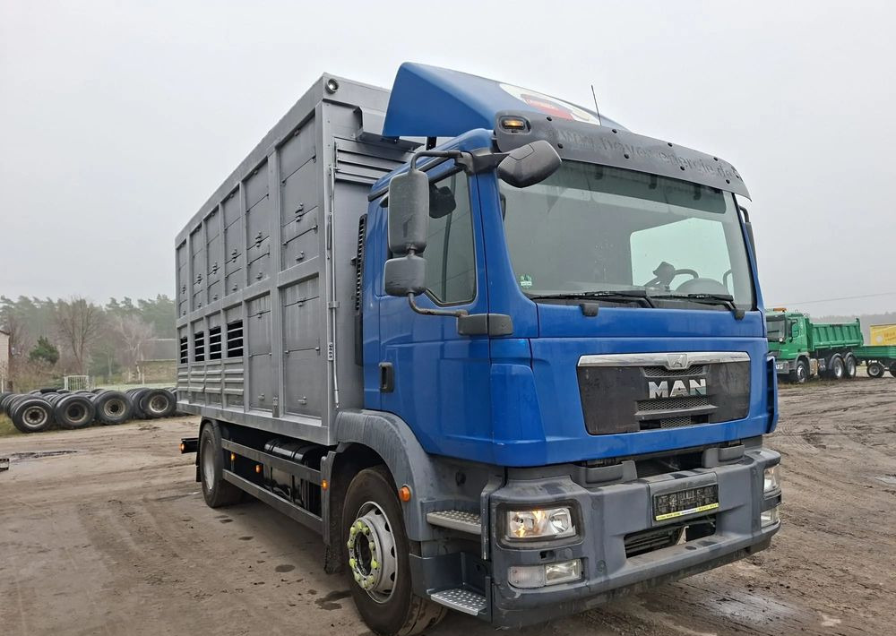 MAN TGM 18.250 4x2 DO ŻYWCA - Tiertransporter LKW: das Bild 2 MAN TGM 18.250 4x2 DO ŻYWCA - Tiertransporter LKW: das Bild 2