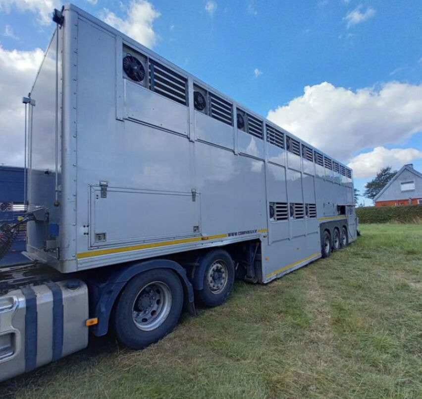 Gray and Adams Gadd3 / Works Great / Hydraulic / 2 Levels - Tiertransporter Auflieger: das Bild 5 Gray and Adams Gadd3 / Works Great / Hydraulic / 2 Levels - Tiertransporter Auflieger: das Bild 5