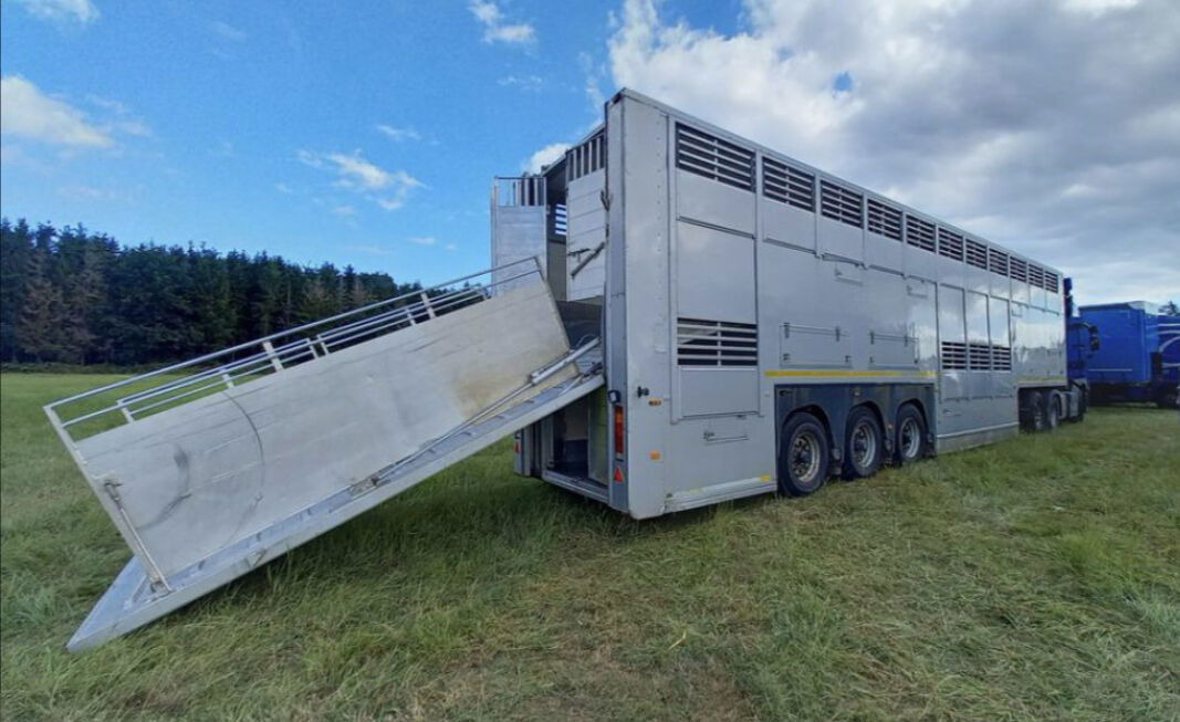 Gray and Adams Gadd3 / Works Great / Hydraulic / 2 Levels - Tiertransporter Auflieger: das Bild 2 Gray and Adams Gadd3 / Works Great / Hydraulic / 2 Levels - Tiertransporter Auflieger: das Bild 2