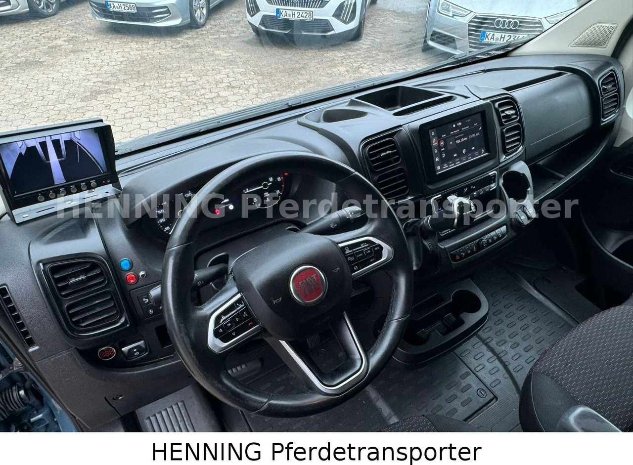 Tiertransporter LKW Fiat Ducato *AUTOMATIK* 3 - Sitzer: das Bild 15 Tiertransporter LKW Fiat Ducato *AUTOMATIK* 3 - Sitzer: das Bild 15