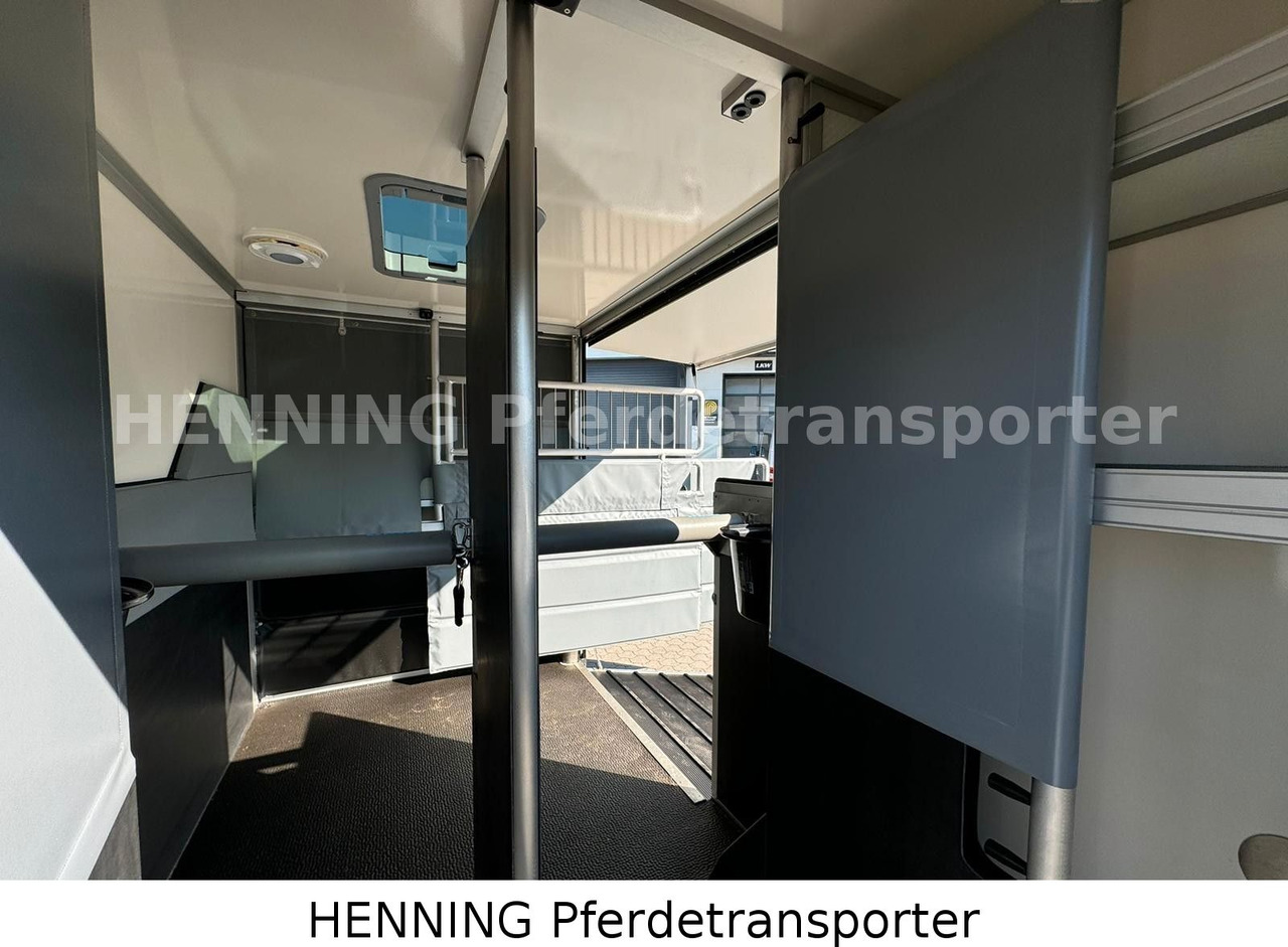 Tiertransporter LKW Nissan Interstar 3 - Sitzer: das Bild 12 Tiertransporter LKW Nissan Interstar 3 - Sitzer: das Bild 12