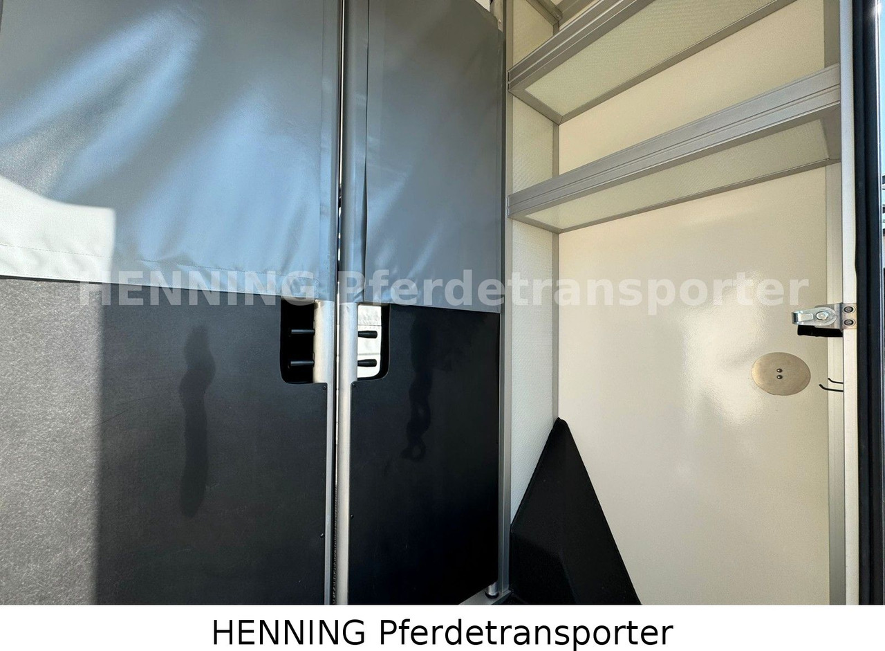 Tiertransporter LKW Nissan Interstar 3 - Sitzer: das Bild 13 Tiertransporter LKW Nissan Interstar 3 - Sitzer: das Bild 13