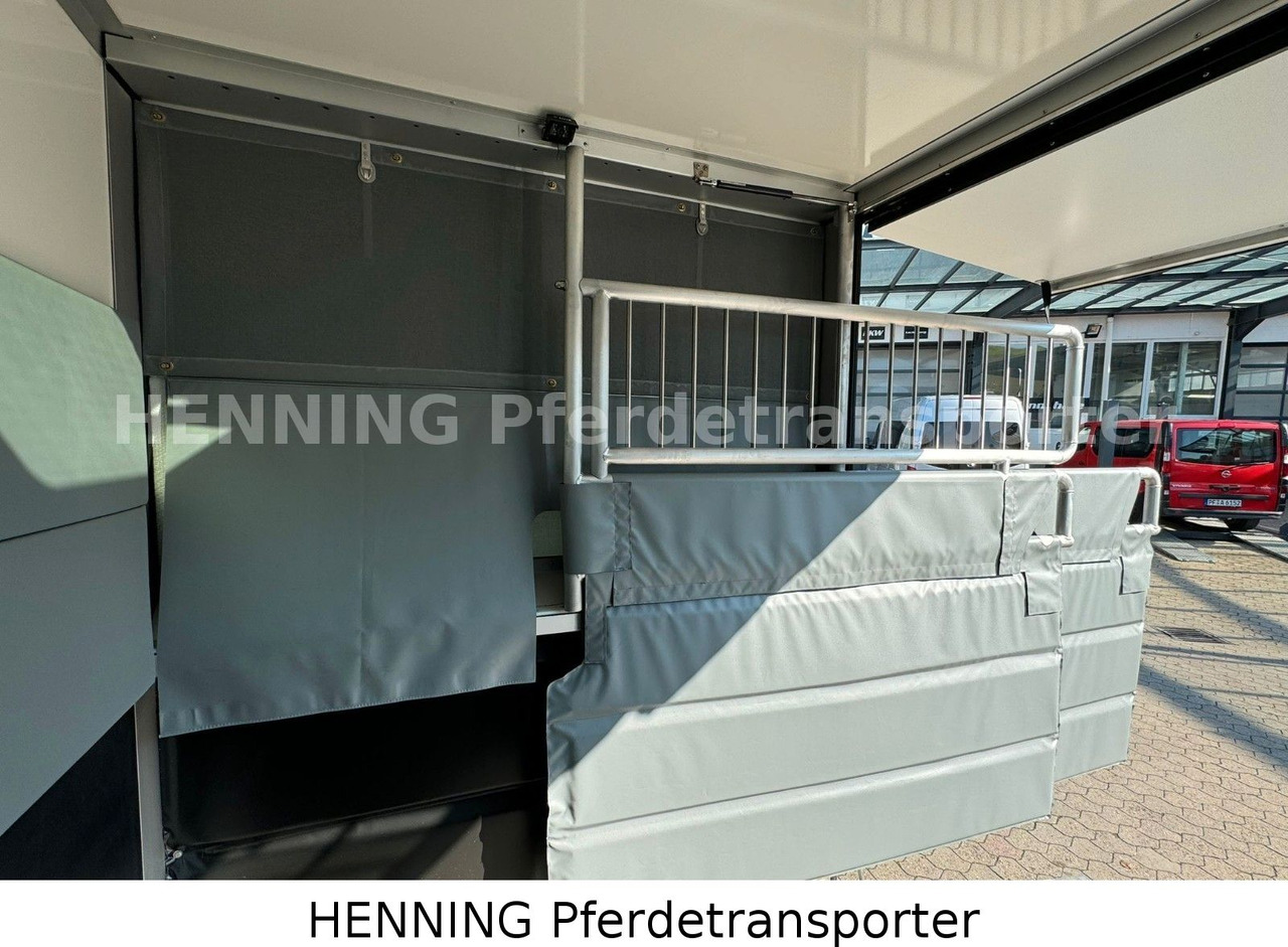 Tiertransporter LKW Nissan Interstar 3 - Sitzer: das Bild 11 Tiertransporter LKW Nissan Interstar 3 - Sitzer: das Bild 11