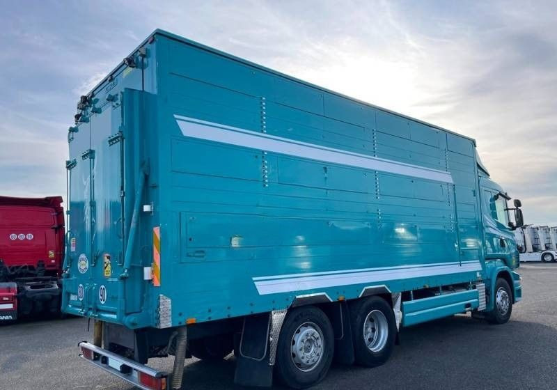 Scania R380 / 6x2 / Pezzaioli / 2-poziomowa zabudowa do przewozu zwierząt / Euro 3 / oś podnoszona / podnoszony dach - Tiertransporter LKW: das Bild 2 Scania R380 / 6x2 / Pezzaioli / 2-poziomowa zabudowa do przewozu zwierząt / Euro 3 / oś podnoszona / podnoszony dach - Tiertransporter LKW: das Bild 2