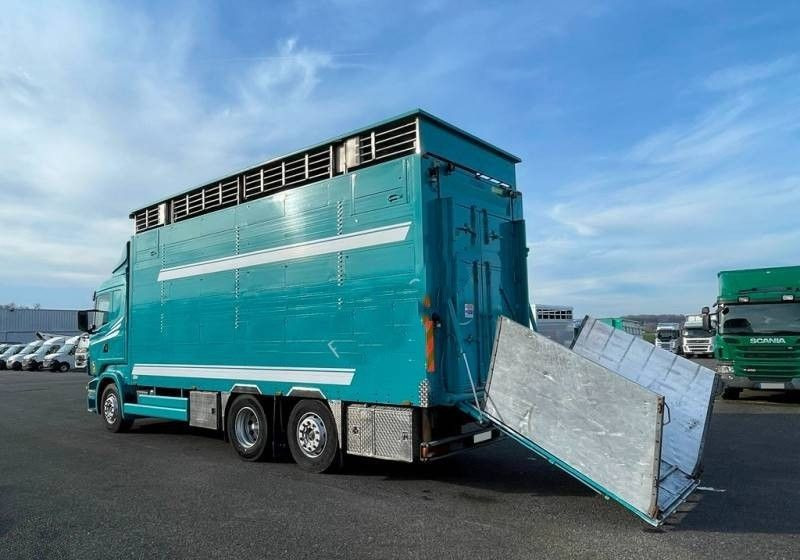 Scania R380 / 6x2 / Pezzaioli / 2-poziomowa zabudowa do przewozu zwierząt / Euro 3 / oś podnoszona / podnoszony dach - Tiertransporter LKW: das Bild 3 Scania R380 / 6x2 / Pezzaioli / 2-poziomowa zabudowa do przewozu zwierząt / Euro 3 / oś podnoszona / podnoszony dach - Tiertransporter LKW: das Bild 3