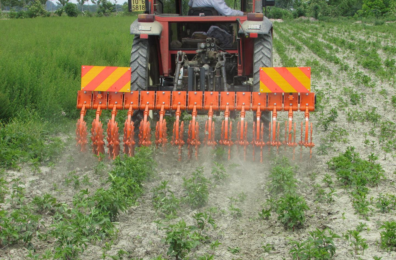 Rompicrosta a.s.r. 270 - Technik für Bodenbearbeitung: das Bild 4 Rompicrosta a.s.r. 270 - Technik für Bodenbearbeitung: das Bild 4