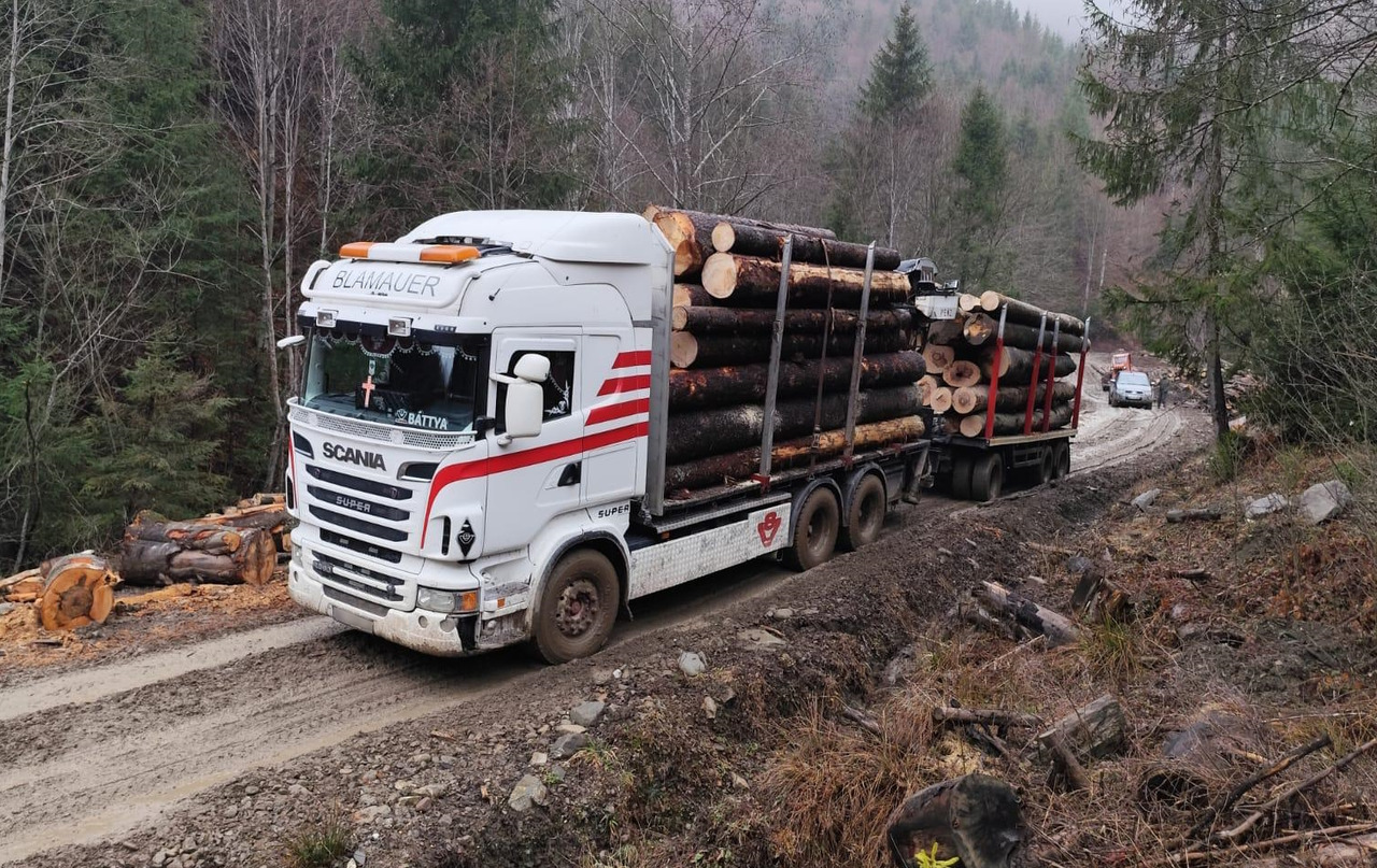 SCANIA R560 V8 - Holztransporter, Autokran: das Bild 2 SCANIA R560 V8 - Holztransporter, Autokran: das Bild 2