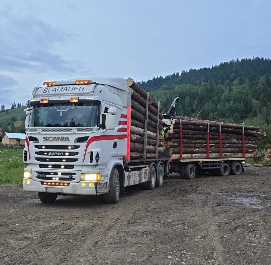 SCANIA R560 V8 - Holztransporter, Autokran: das Bild 1 SCANIA R560 V8 - Holztransporter, Autokran: das Bild 1