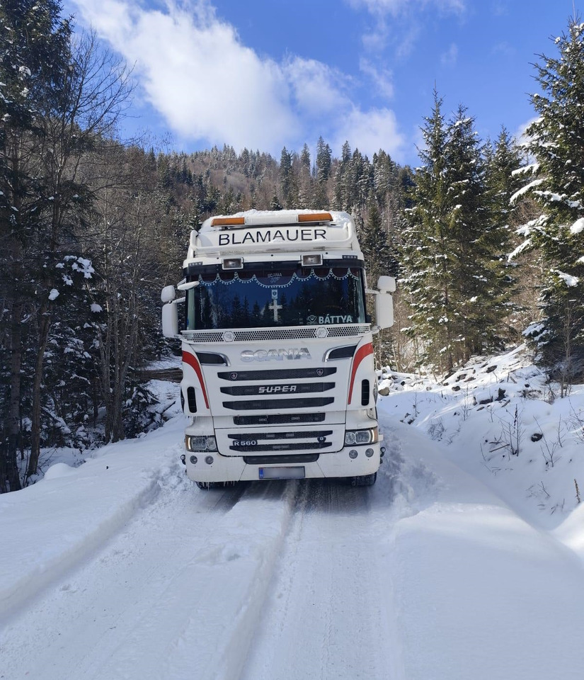 SCANIA R560 V8 - Holztransporter, Autokran: das Bild 4 SCANIA R560 V8 - Holztransporter, Autokran: das Bild 4