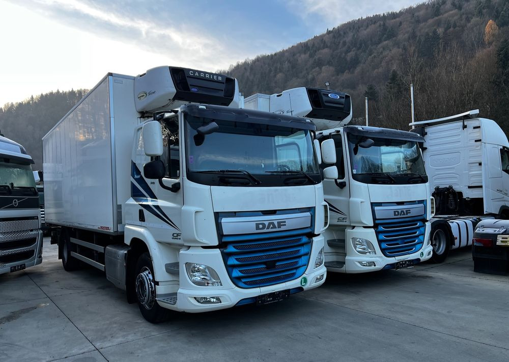 DAF CF370 // Chłodnia Carrier Supra 850 // Sypialka // 2017 Rok // ACC // - Kühlkoffer LKW: das Bild 3 DAF CF370 // Chłodnia Carrier Supra 850 // Sypialka // 2017 Rok // ACC // - Kühlkoffer LKW: das Bild 3