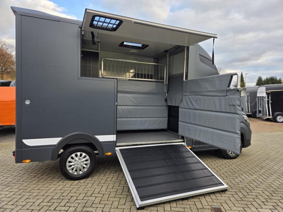 Pferdetransporter MSG Stablehopper Pferdetransporter Pferdeanhänger Böckmann: das Bild 6