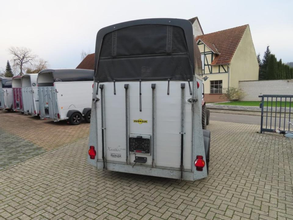 Pferdeanhänger Humbaur, Xanthos Aero, 100 km/h Sattelkammer - Pferdeanhänger: das Bild 4 Pferdeanhänger Humbaur, Xanthos Aero, 100 km/h Sattelkammer - Pferdeanhänger: das Bild 4