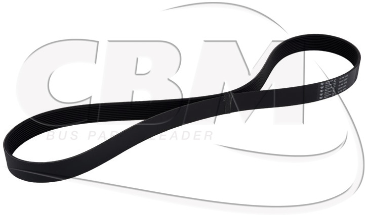 HUTCHINSON ALTERNATOR BELT - MERCEDES MAN (A0003531720 | 81351070056) - Riemen für Bus: das Bild 1 HUTCHINSON ALTERNATOR BELT - MERCEDES MAN (A0003531720 | 81351070056) - Riemen für Bus: das Bild 1