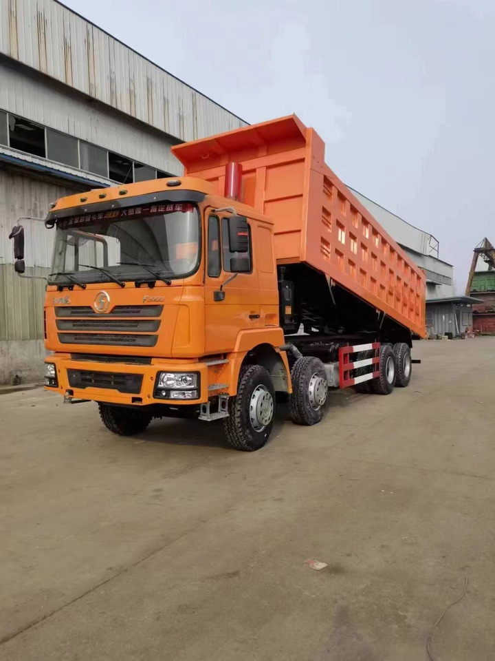 SHACMAN F3000 Dump Truck - Kipper: das Bild 2 SHACMAN F3000 Dump Truck - Kipper: das Bild 2