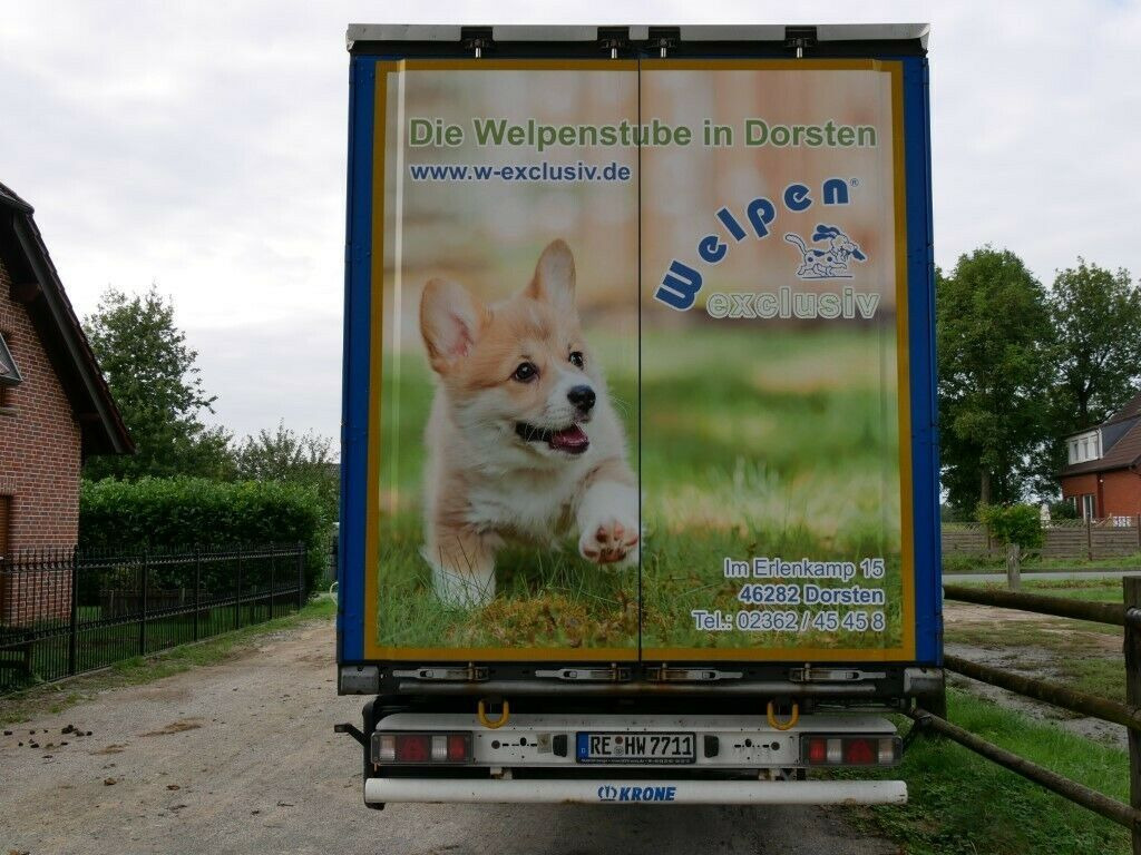 Krone SDP27 Profiliner Edscher XL Top - Planenauflieger: das Bild 3 Krone SDP27 Profiliner Edscher XL Top - Planenauflieger: das Bild 3