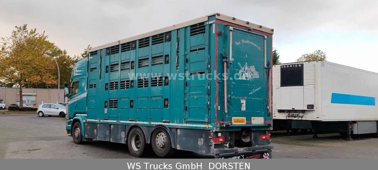 Scania R 490 Topline Menke 4 Stock Hubdach | Retader - Pferdetransporter: das Bild 4 Scania R 490 Topline Menke 4 Stock Hubdach | Retader - Pferdetransporter: das Bild 4