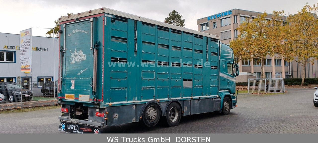Scania R 490 Topline Menke 4 Stock Hubdach | Retader - Pferdetransporter: das Bild 3 Scania R 490 Topline Menke 4 Stock Hubdach | Retader - Pferdetransporter: das Bild 3
