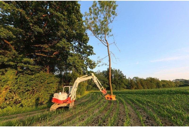 Westtech Woodcracker CL 260 - Fällgreifer: das Bild 5 Westtech Woodcracker CL 260 - Fällgreifer: das Bild 5