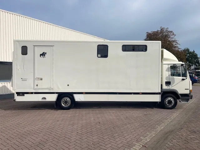 DAF LF 45.130 CLEAN HORSES NL-TRUCK - Pferdetransporter: das Bild 5 DAF LF 45.130 CLEAN HORSES NL-TRUCK - Pferdetransporter: das Bild 5