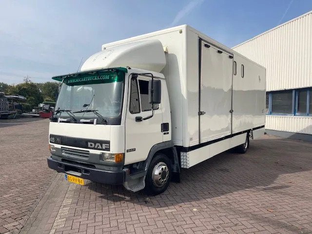 DAF LF 45.130 CLEAN HORSES NL-TRUCK - Pferdetransporter: das Bild 3 DAF LF 45.130 CLEAN HORSES NL-TRUCK - Pferdetransporter: das Bild 3