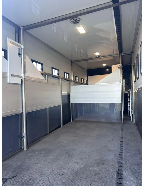 Scania P250 Horse Truck gereserveerd - Pferdetransporter: das Bild 5 Scania P250 Horse Truck gereserveerd - Pferdetransporter: das Bild 5