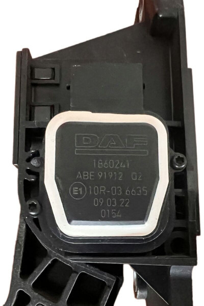 DAF - Pedal: das Bild 4 DAF - Pedal: das Bild 4