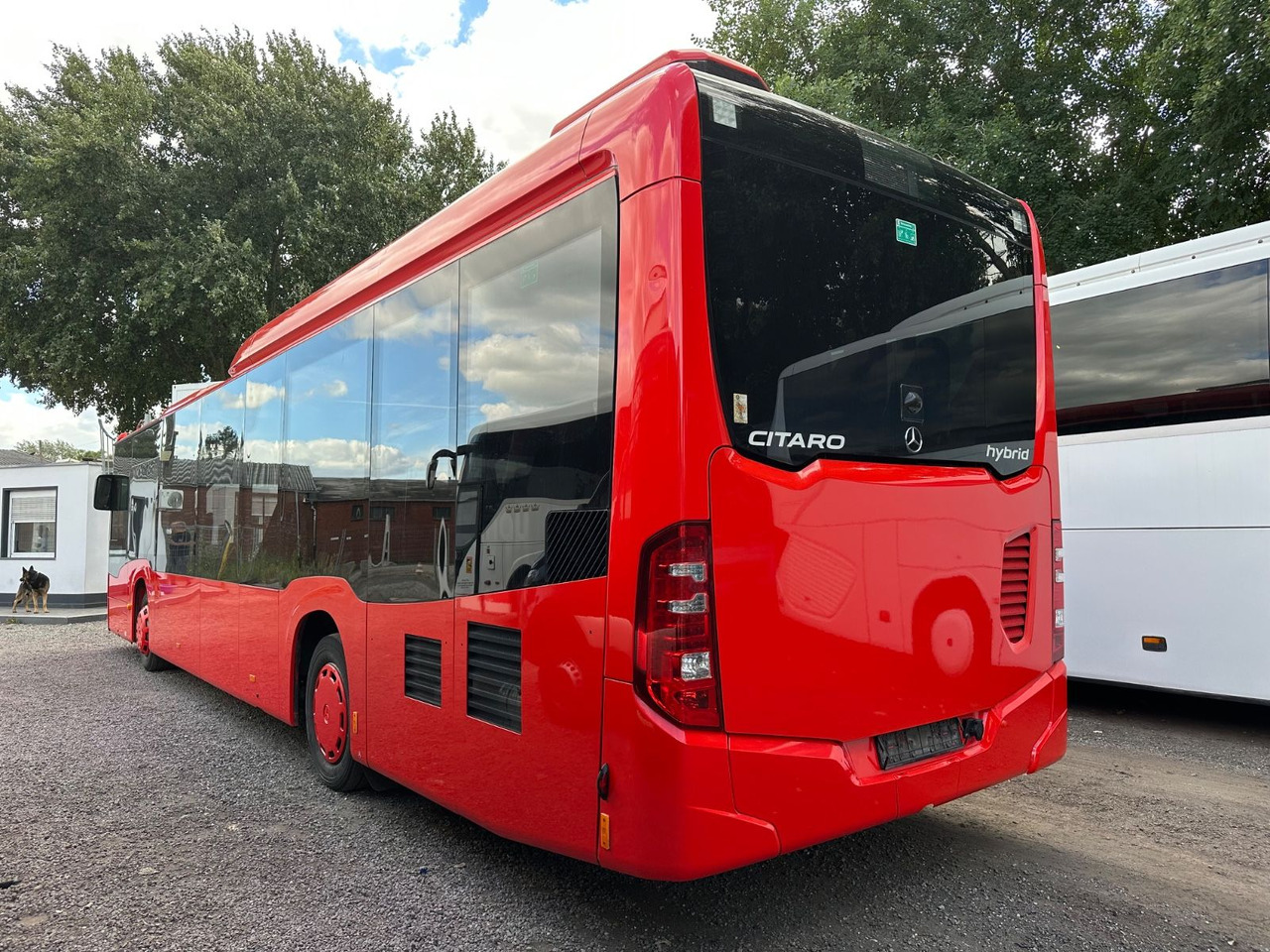 Mercedes-Benz O 530 C2 Citaro LE 260KW*Klimaanlage - Linienbus: das Bild 3 Mercedes-Benz O 530 C2 Citaro LE 260KW*Klimaanlage - Linienbus: das Bild 3